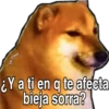 Memes Cartoon's 2.0 16