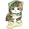 Gatitos hermosos 6 25
