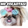 Me encANTAS!