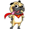 ⍤pεRcy pug⍤ 16