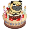 ⍤pεRcy pug⍤ 17
