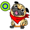 ⍤pεRcy pug⍤ 18