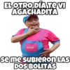 ELOTRODÍATEI
AGACHADITA
Rose
seme SUBIERONLAS
DOS BOLITAS