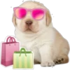 perritos 16