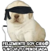 Perrito Meme 22