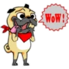 ⍤pεRcy pug⍤ 19