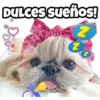 N N Dulces sueños!