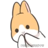 Orange Rabbit 1 20