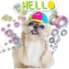 HELLO
