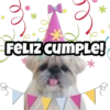 b FELIZ CUMPLE! * *