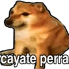 Memes Cartoon's 2.0 22
