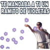 Ramito de Violetas 24