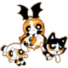 4ャ
