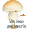 No seas
gato porfa