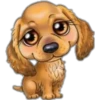 perritos 13