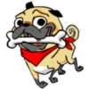 ⍤pεRcy pug⍤ 21