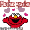 Muchas gracias
FITSTGRILLØVESA