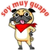 ⍤pεRcy pug⍤ 22
