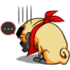⍤pεRcy pug⍤ 23