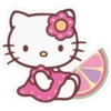 Hello Kitty 16