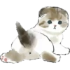 Gatitos hermosos 6 26