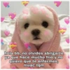 hola bb, no olvides abrigarte
ya que hace mucho frío y no
quiero que te enfermes,
muac tqm