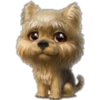 perritos 14