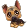 perritos 15