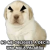 Perrito Meme 24