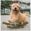 Si voy al área 51 te veo allí
@moodadolescente
porque esa carita es de
otro planeta bb