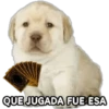 Perrito Meme 25