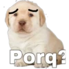 perritos 18