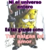 bob cholo 29