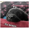 -Yo-
Tu brazo-