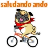 ⍤pεRcy pug⍤ 25