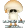 Lobukis hay
muchas...