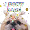 I DON'T CARE