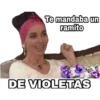 Ramito de Violetas 28