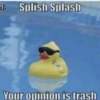 n: Splish Splash
Your opinion is trash