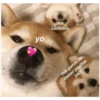 yo
mis
cariñitos
mis ganas de
24/7
comer papitas