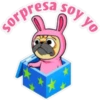 ⍤pεRcy pug⍤ 27