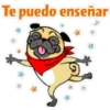 ⍤pεRcy pug⍤ 28