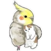 www
M