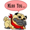 ⍤pεRcy pug⍤ 29