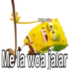 BibiE
Me la woa jalar