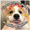 Si ves esto me debes
un millón de
)
@Cositaslindas.post
on de besitos.