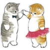 Gatitos hermosos 6 29