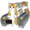 Gatitos hermosos 6 30