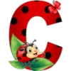 Abc catarina 5