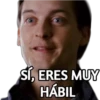 SÍ, ERES MUY
HÁBIL